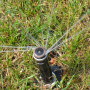 Hunter MP Rotator  полосові